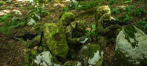  Schaapzwam! Een Amoebozoaan Met de Geweldigste Camouflage Tactieke en de Meest Fascinerende Voedselstrategieën